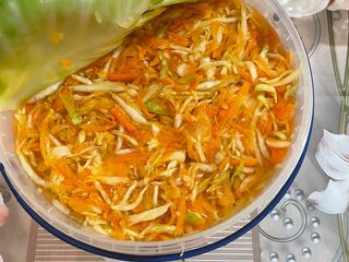 квашена капуста