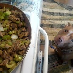 A picture of Stuffing with giblets.