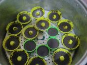 Gambar brownies kukus goriorio