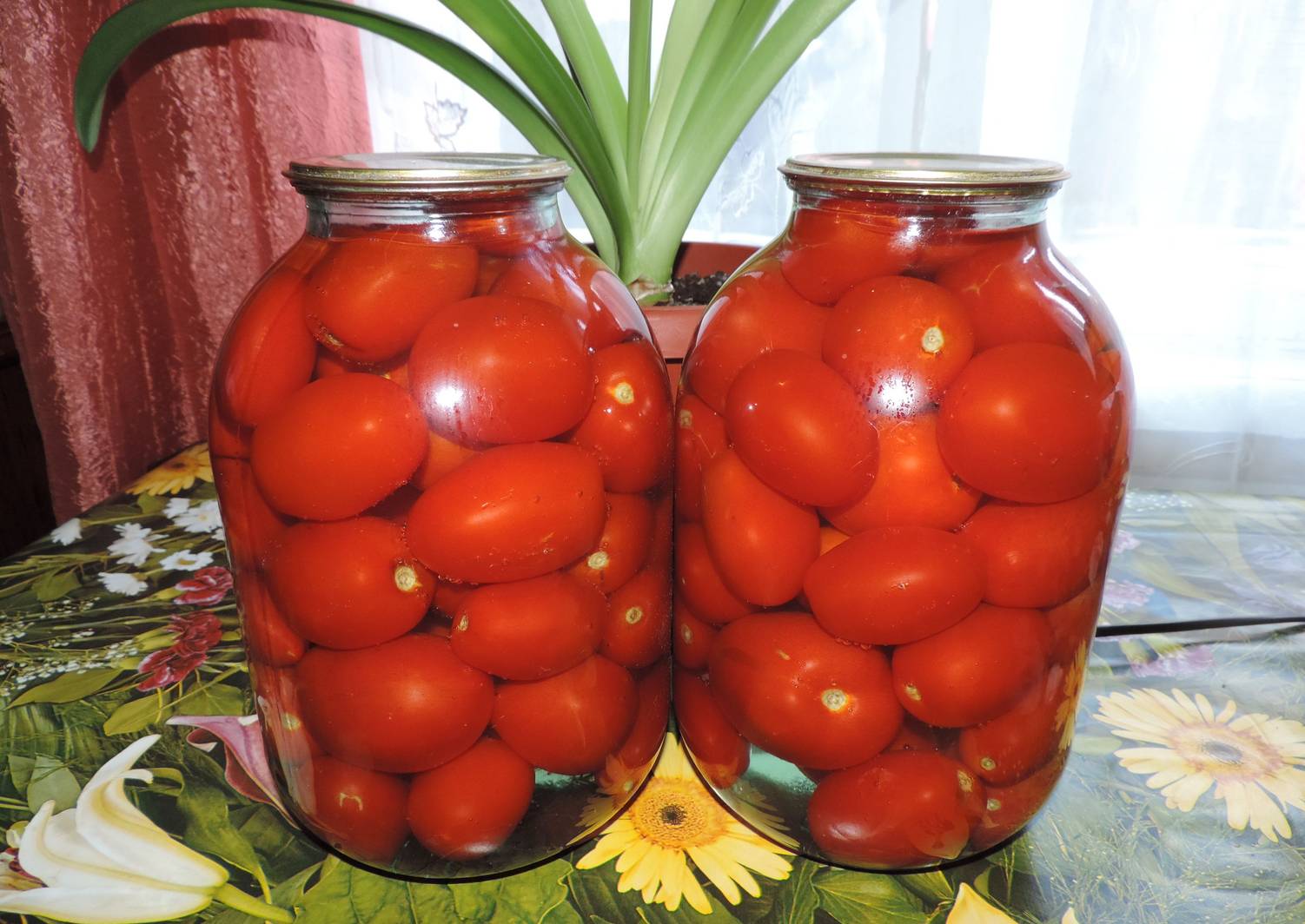 Картинка маринованных помидоров на зиму