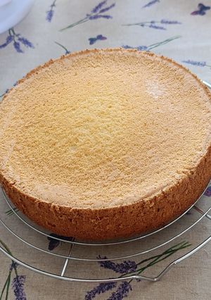 Az én "mumus" piskótatorta alapom recept fotója