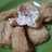 Tahu Susu Homemade