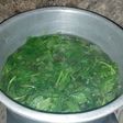 Sayur bayam sederhana ala aku 😄