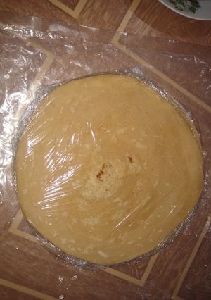 A picture of Frozen parathas.