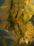 Keting asam pedas