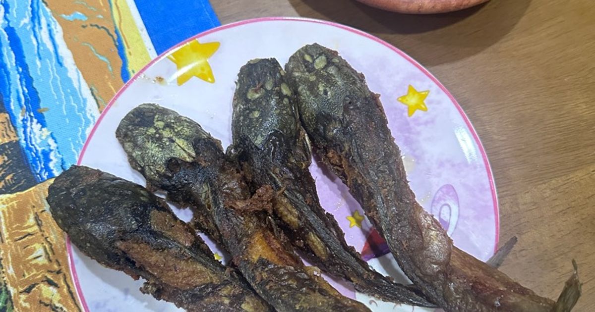 Lele Goreng Bumbu Kari Sambal Korek