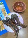 Lele Goreng Bumbu Kari Sambal Korek