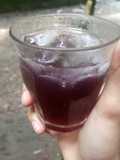 Jus kembang sepatu