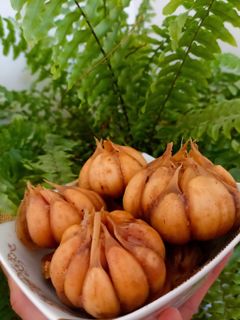 عکسی از دستور سیر ترشی🧄