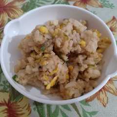 A picture of Nasi goreng telur simpel MPASI 10 - 12 Bulan.