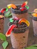 Dirt and worms 