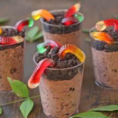 A picture of Dirt and worms .