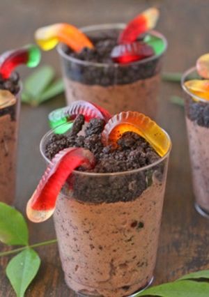 A picture of Dirt and worms .