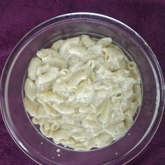 Macroni in white sauce A picture of Macroni in white sauce.