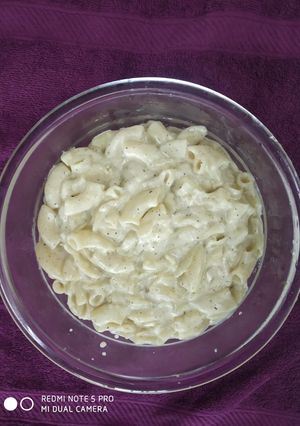 A picture of Macroni in white sauce.