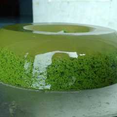 รูปของ Puding lumut