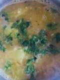 Raw papaya gourd  daal
