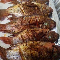 A picture of Grilled tilapia.