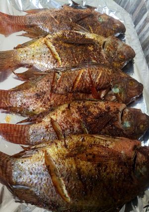 A picture of Grilled tilapia.