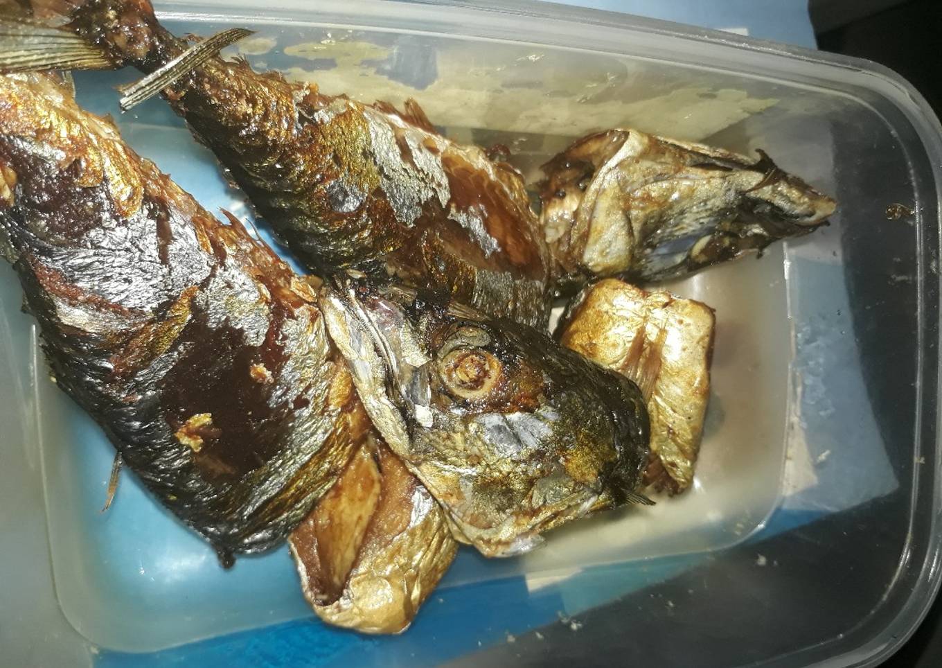 Fried titus fish