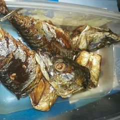 A picture of Fried titus fish.