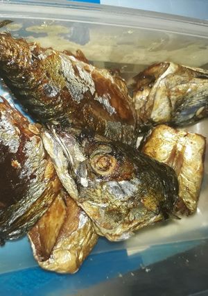 A picture of Fried titus fish.