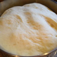 A picture of Foolproof pizza dough.