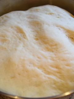 A picture of Foolproof pizza dough.