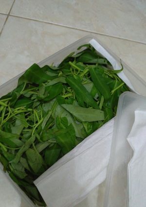 Foto resep Tips Menyimpan Kangkung etc