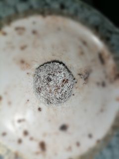 صورة لوصفة كرات شوكولاتة