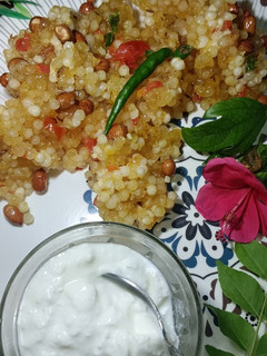 A picture of Sabudana khichdi (fasting) recipe 😋.