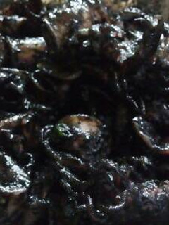Foto resep Cumi Tinta (Masak Hitam)^^