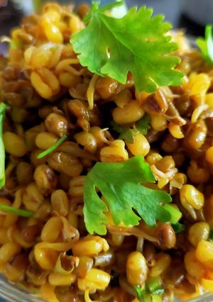 A picture of Sprouted Moong.