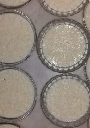 صورة لوصفة رز بالحليب