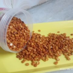 A picture of Chana dal (namkeen).