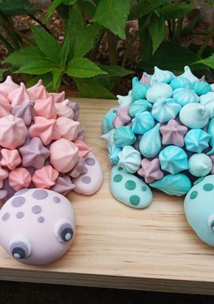 Una foto de Tortuguitas de merengue