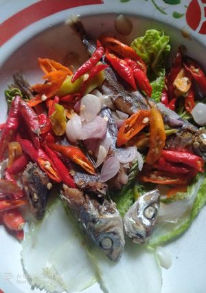 Foto resep Asin japuh sawi putih asap