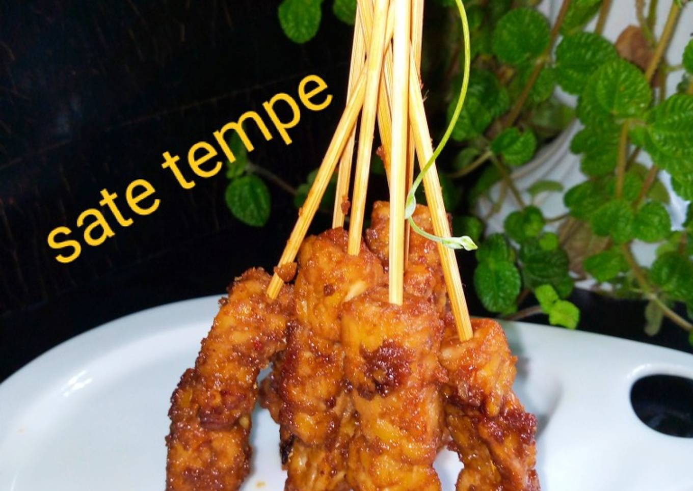 183) sate tempe (teflon)