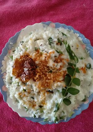 A picture of Curd Rice.