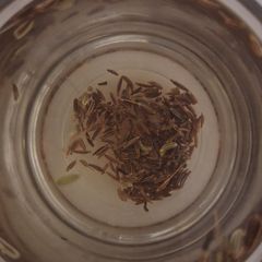A picture of Keto fennel tea with caraway.