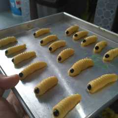 รูปของ Ulat Sagu Susu