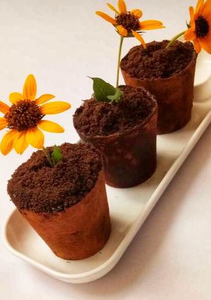 ब्लॉसम चॉकलेट पॉट (Blossom Chocolate Pot recipe in Hindi) रेसिपी मुख्य फोटो