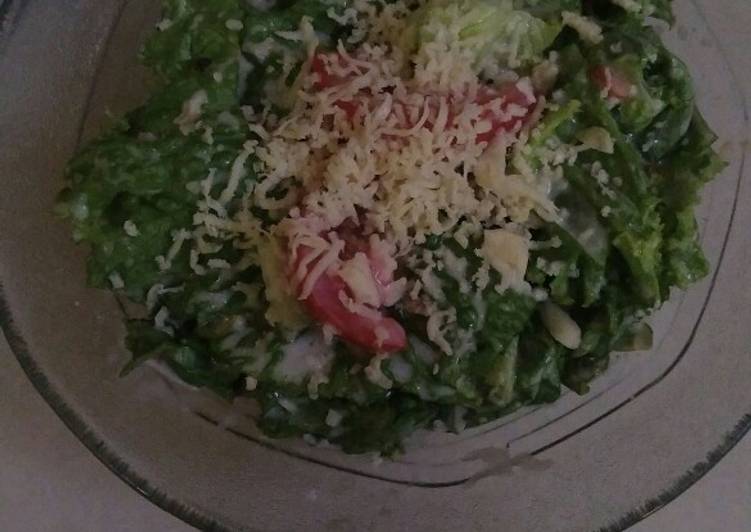 Salad sayuran