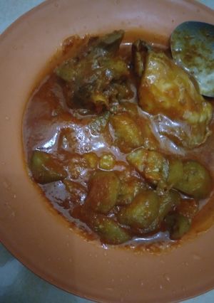 Foto resep Terong balado murah gampang mudah enak di magic comala anak kos