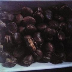 A picture of Easy to open chestnuts.