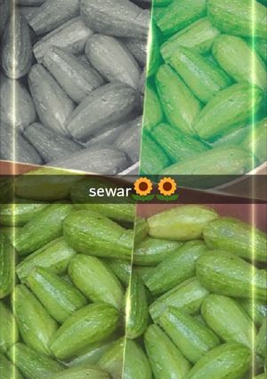 صورة لوصفة كوسا برُب البندورة 🌟🌟