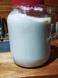 Yogurt casero súper económico y rendidor