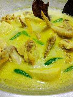 Foto resep Opor Ayam