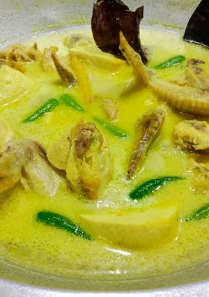 Foto resep Opor Ayam
