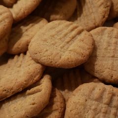 A picture of Keto Macadamia Butter Cookies.